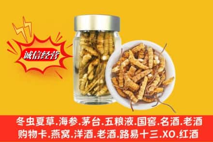 沁水县回收散虫草