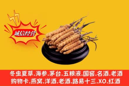 沁水县求购回收虫草多少钱每克